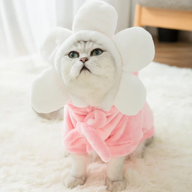 Net red cat disguise small milk cat hairless cat kitten four legged clothes cute cat pet English short autumn winter clothes G - Shop at LoveMi