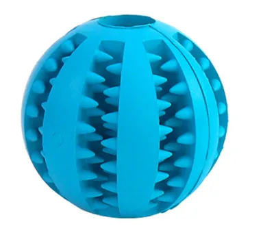 Pet Dog Toy Bite Resistant Molar Stick Puppy Ball Blue - Shop at LoveMi