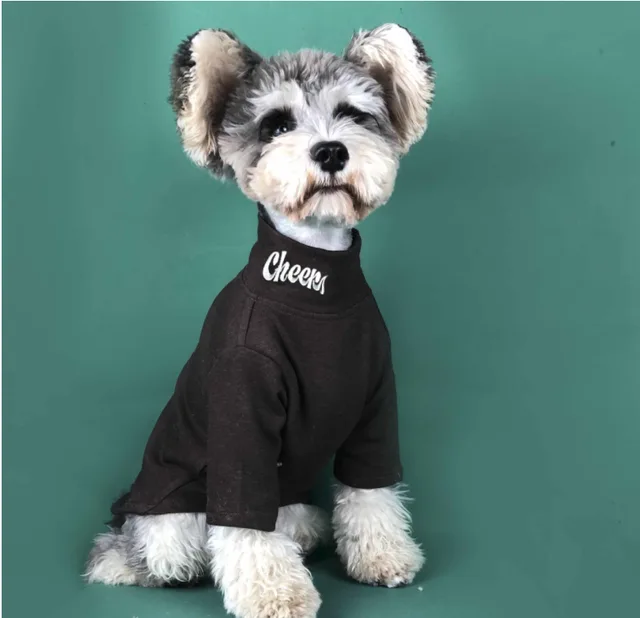 Dog Cat Tide Brand Padded High Neck Long Sleeve Bottoming Shirt Black - Shop at LoveMi