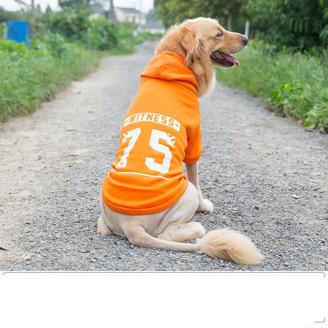 Medium And Large Dog Vest Pet Clothes Orange - Shop at LoveMi