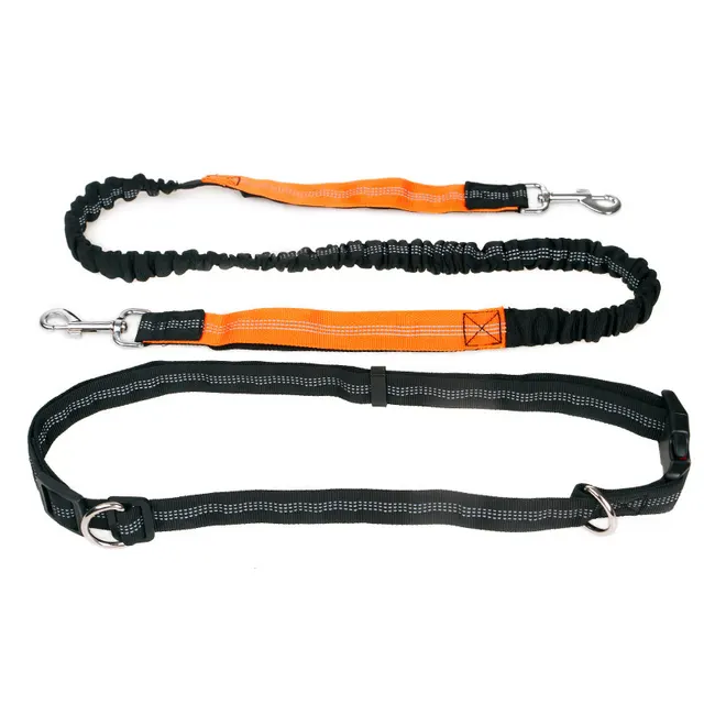 Sports Fitness Reflective Elastic Pet Running Traction Belt - Shop at LoveMi