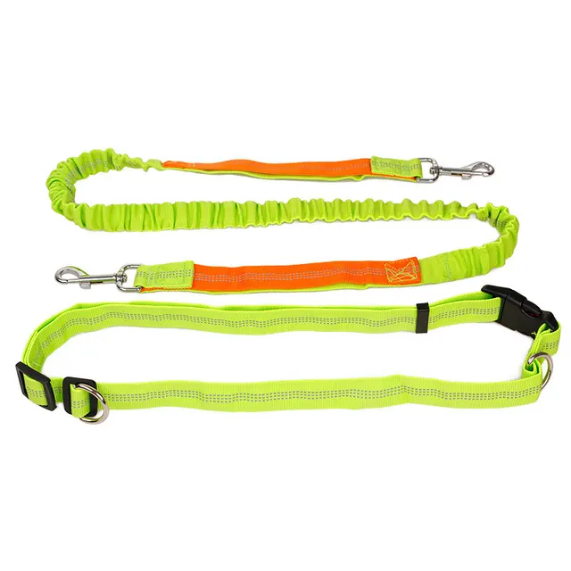 Sports Fitness Reflective Elastic Pet Running Traction Belt - Shop at LoveMi