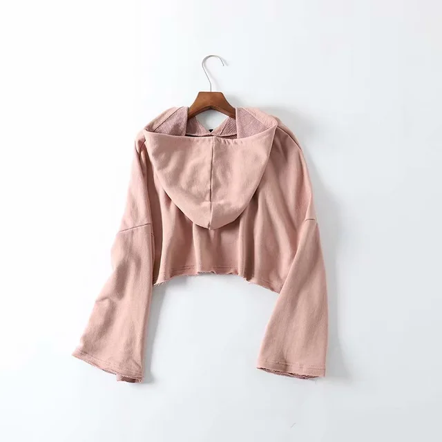 Casual Loose Hooded Pullover Short Crop Fitness Sportswear Pink - Shop at LoveMi