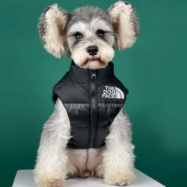 Puppy Warm And Thick Black Down Jacket Sleeveless Vest Jacket Black - Shop at LoveMi