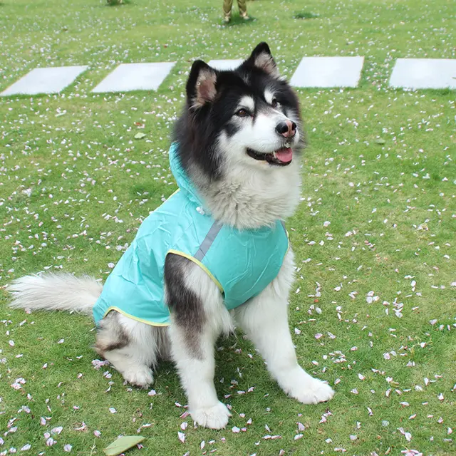 Big Dog Cloak Raincoat With Reflective Strips Husky Pug Pet Raincoat Green - Shop at LoveMi