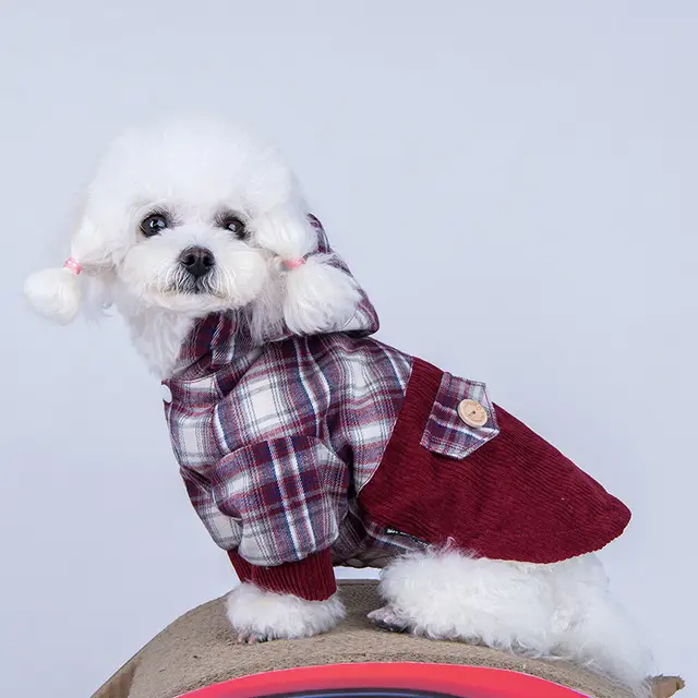 Teddy VIP Pomeranian Small Dog Plus Cashmere Coat Red - Shop at LoveMi