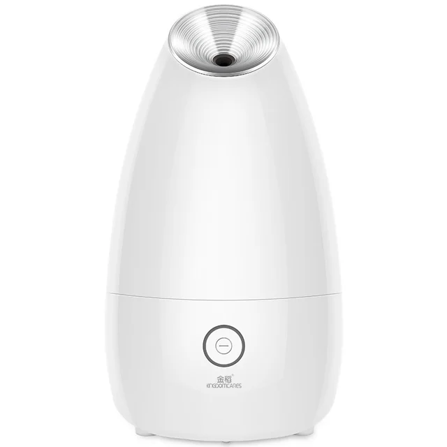 Face Steamer Beauty Instrument Steam Face Sprayer White - Shop at LoveMi
