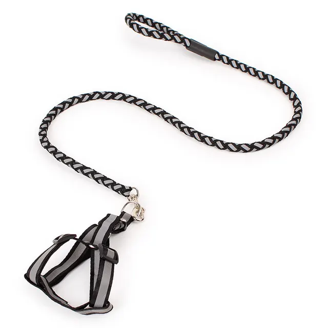 Dog Night Reflective Traction Rope Braided Chest Strap Black - Shop at LoveMi