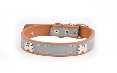 Reflective Three Bone Collar Pet Leash Coffee - Shop at LoveMi