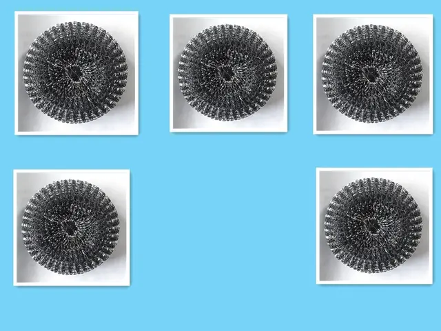 Kitchen Soap Dispensing Palm Brush Cleaner Push type Brush Kitchen Detergent Tools Steel Ball 5Pcs - Shop at LoveMi
