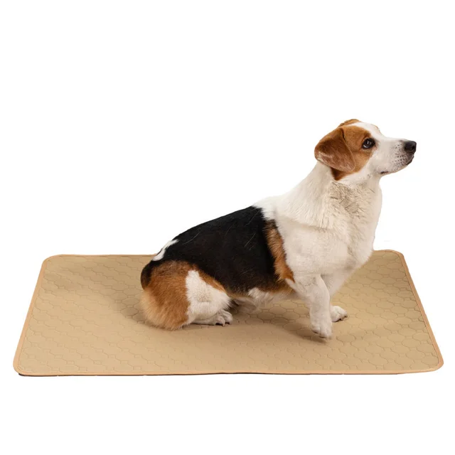 Pets Between The Pad Repeated Water Absorption Dog White - Shop at LoveMi