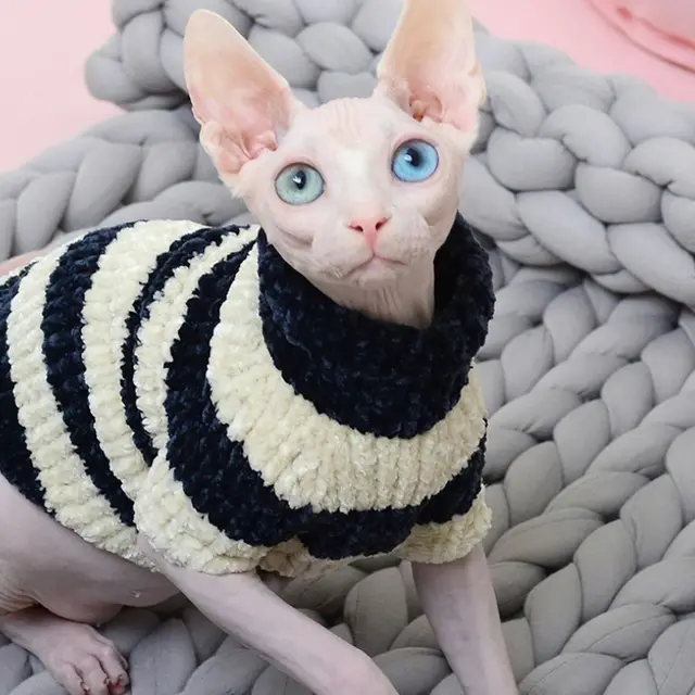 Hairless Cat Winter Thicken Warm Cotton Sweater Navy Blue - Shop at LoveMi