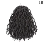 1B Color