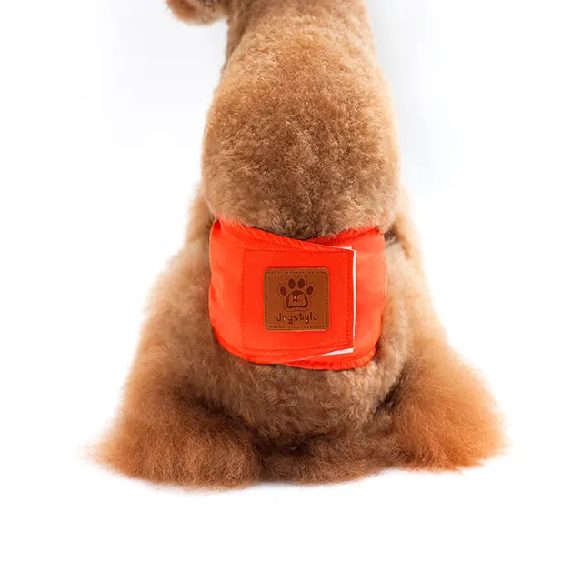 New Solid Color Physiology Pants For Male Dogs Orange - Shop at LoveMi