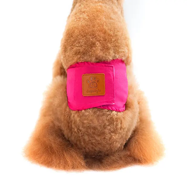 New Solid Color Physiology Pants For Male Dogs Red - Shop at LoveMi