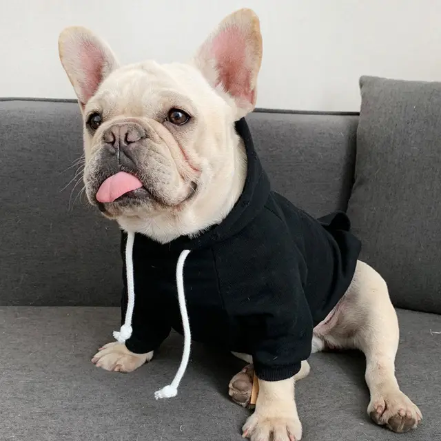 Small Dog Trendy Brand Plus Fleece Hooded Sweater Black - Shop at LoveMi