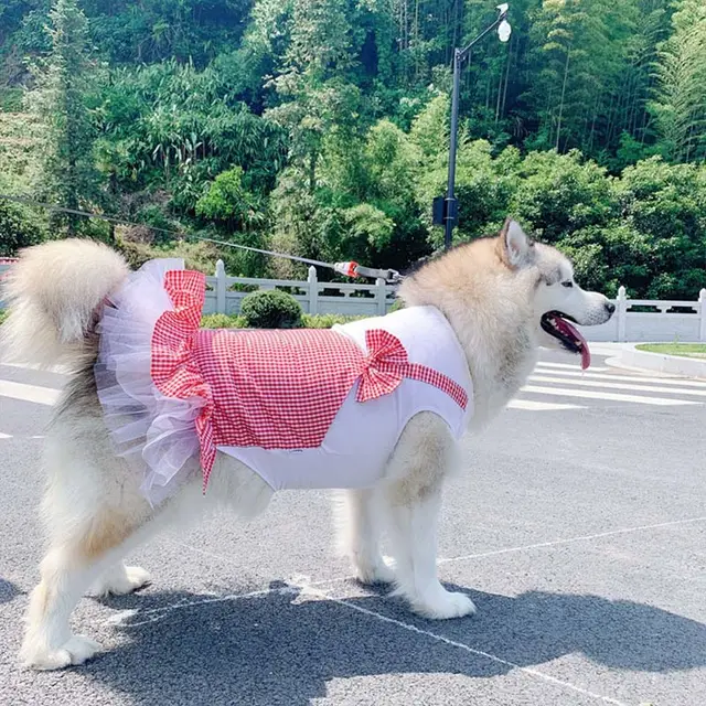 Dog Clothes Princess Dog Costume Labrador Golden Retriever Big Dog Clothes Red - Shop at LoveMi