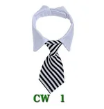 Cw1