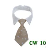Cw10