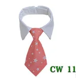 Cw11