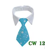 Cw12