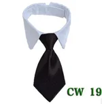 Cw19