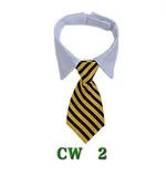 Cw2