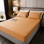 Apricot