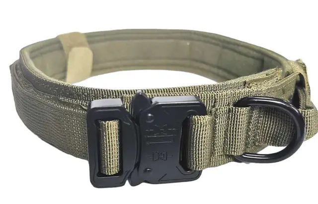 Outdoor Tactical Army Dog Training Collar Green - Shop at LoveMi