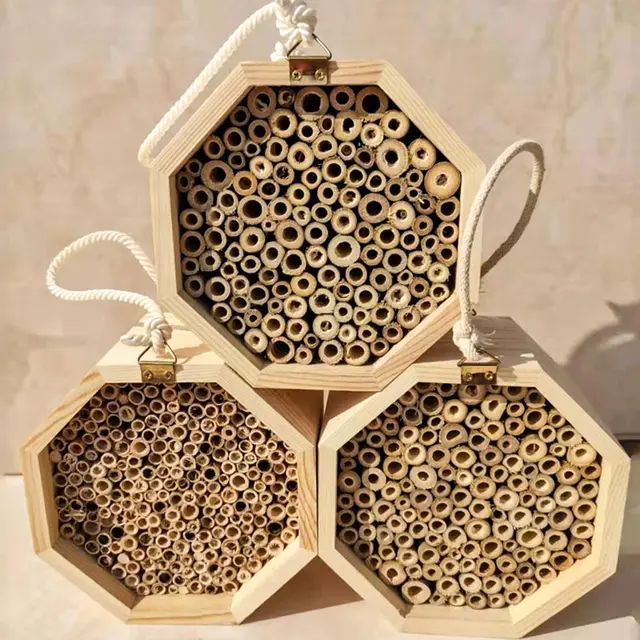 Wooden Bee Breeding Box Combination White - Shop at LoveMi