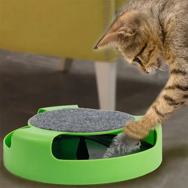 Mouse Cat Toy Top Cat Scratch Board Mouse Kitten Toy Green - Shop at LoveMi