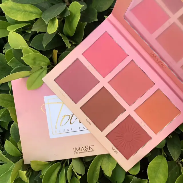 Red Disc Highlight Repairing and Brightening Complexion Natural Stage Make Up - Shop at LoveMi