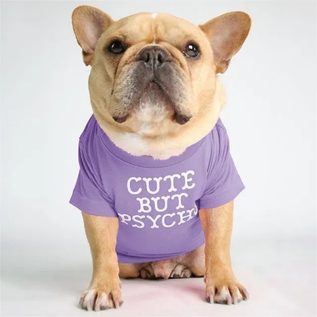 Fadou Turtleneck Crew Neck T shirt Bichon Japan and Korea - Shop at LoveMi