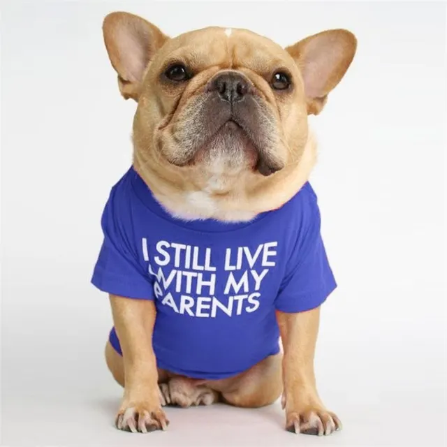 Fadou Turtleneck Crew Neck T shirt Bichon Japan and Korea H - Shop at LoveMi