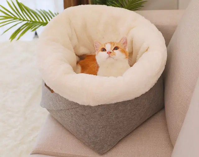 Round Felt Four Seasons Cat Litter Grey - Shop at LoveMi