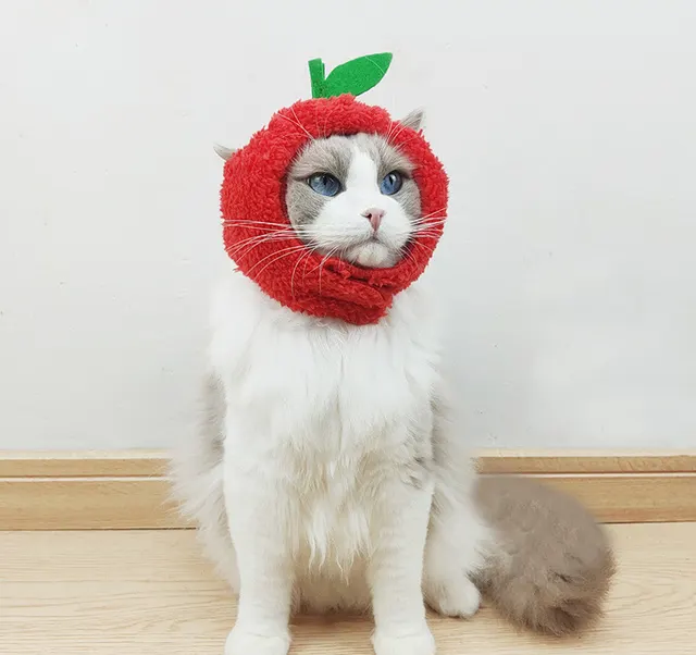 Cute Pineapple Cat Hat Warm Puppet Headdress Red - Shop at LoveMi