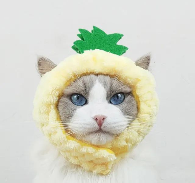 Cute Pineapple Cat Hat Warm Puppet Headdress Yellow - Shop at LoveMi