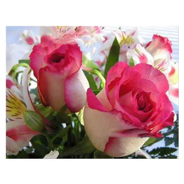 DIY Rose Heart Diamond Embroidery C - Shop at LoveMi