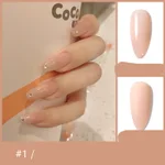 1Color