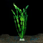 Green B