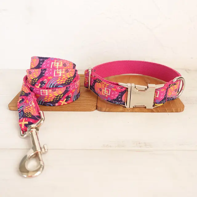 Supplies Collar With Traction Leash For Dog Training Pink - Shop at LoveMi