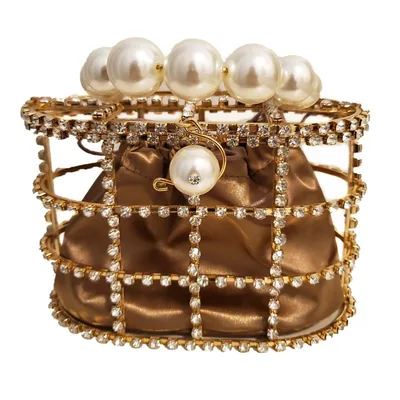Rhinestone basket bird cage dinner bag Brown - Shop at LoveMi