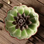 Black And Green