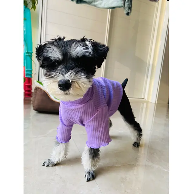 Pet Bottoming Shirt Small Dog Clothes Purple - Shop at LoveMi