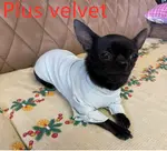 White Plus Velvet