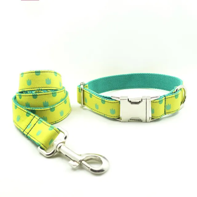 Dog Collar Leash Set Labrador Dragon Claw - Shop at LoveMi