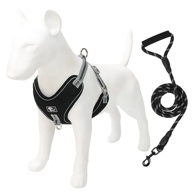 Pet chest Strap Dog Traction Rope Black - Shop at LoveMi