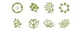 Star Flower Collection