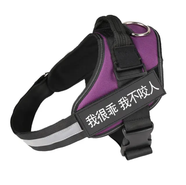 Dog Harness Purple - Shop at LoveMi