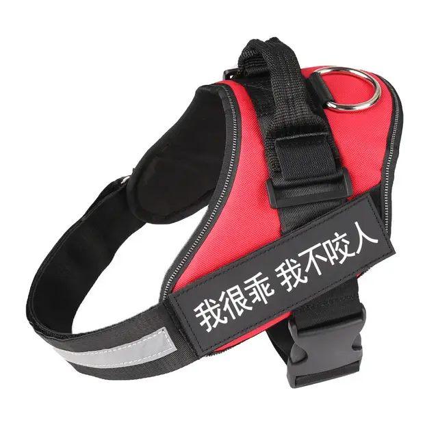 Dog Harness Red - Shop at LoveMi